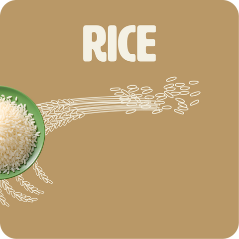 Rice